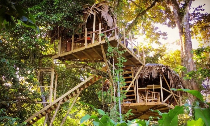Bocas del Toro House | Jungle Treehouse by the Sea
