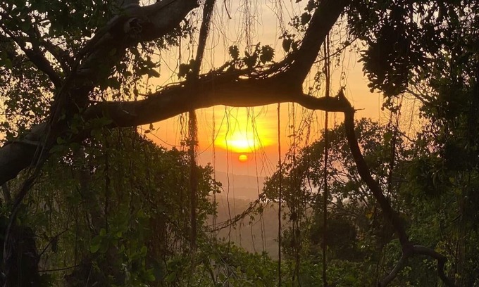 Drapers Apartment | Jungle, waterfall, sea view, 5 minutes from beach, lap pool & gym. Bird watching