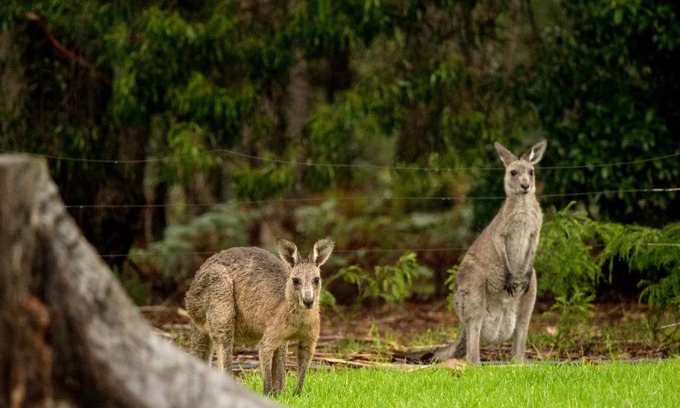 Kalaru Resort | Kalaru Holiday Village