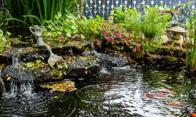 Jefferson Bed & Breakfast | Kennedy Manor B&B