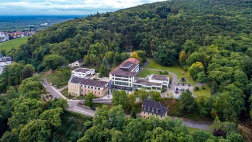 Neustadt-Stadtmitte Hotel | Kloster Neustadt
