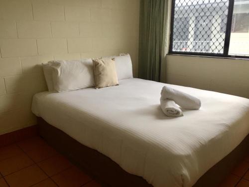 Cairns Central Business District Hotel | Koala Beach Resort Cairns