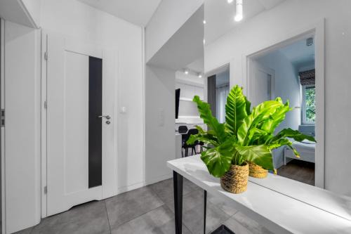 Praga Poludnie Apartment | Kobielska 17 Warszawa by Solarento