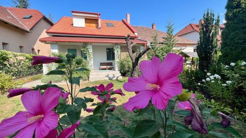 Ujpest Apartment | Kovács Guesthouse - Budapest