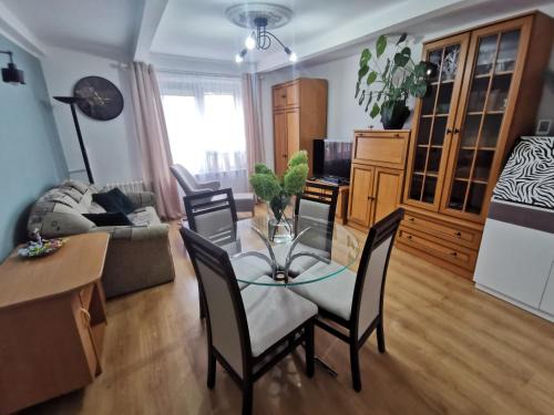 Grudziadz Apartment | Królewska