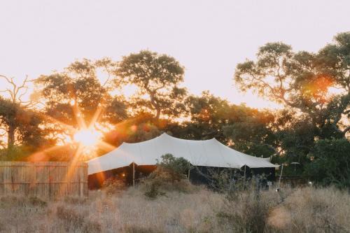 Kruger National Park Other | Kruger Untamed - Satara Plains Camp