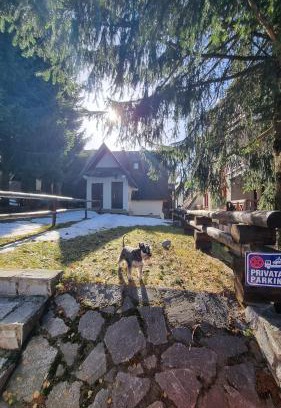 Kopaonik Apartment | Kućerak na Kopu