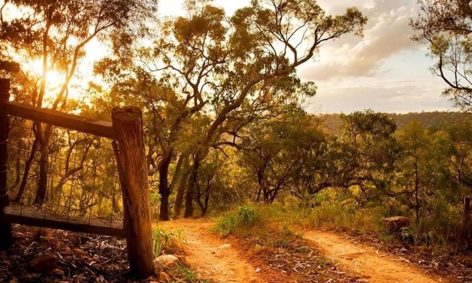 Wheeny Creek Hotel | Kurrajong Trails and Cottages