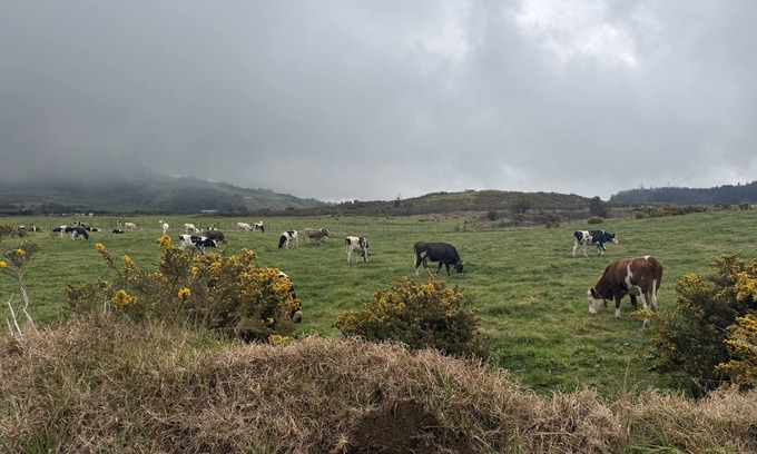 La Plaine des Cafres Villa | L'Eden De La Grande Ferme