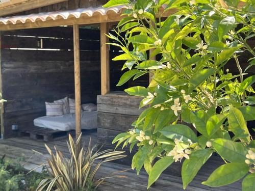 Le Mung Bed & Breakfast | L'escale au Port Miniature de Saint Savinien