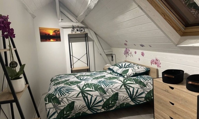 Auxerre Apartment | L'Escale Féerique Auxerre