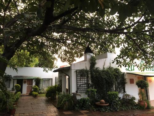 Bela-Bela Bed & Breakfast | La Bella B&B Under The Fig Tree