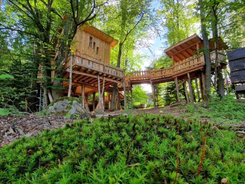 Saint-Louis Ski Chalet | La Cabane dans les arbres du Domaine de la Forestière