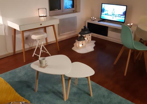 Dijon Centre Ville Apartment | La Chouette 3