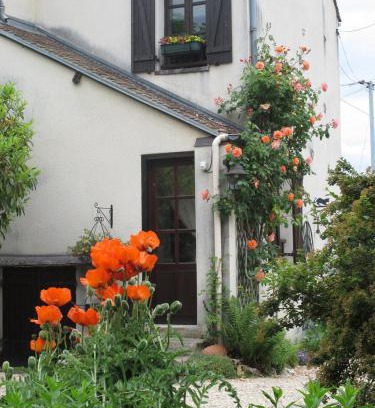 Bois-le-Roi Bed & Breakfast | La FALLONNIERE