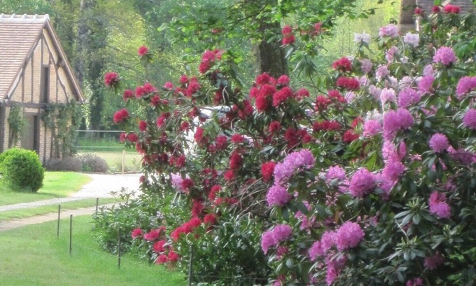 Brinon-sur-Sauldre House | La Framboisière - Maison Blanche Sologne