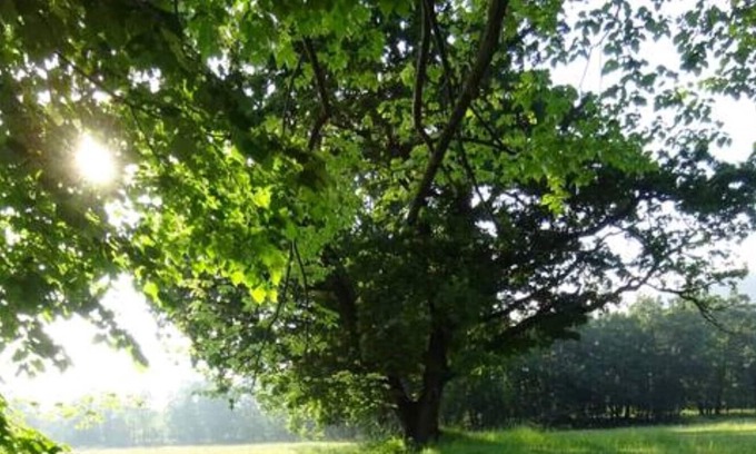 Saint-Vallier-de-Thiey House | La petite Maison Marie-Louise