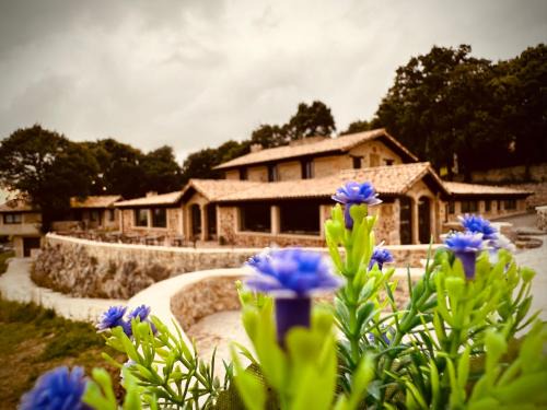 Arnuero House | La Quinta Luxury Palace