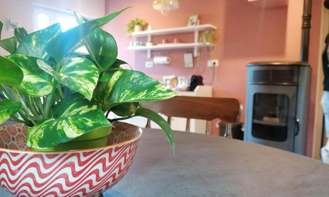 Bedonia House | La soffitta di Anita