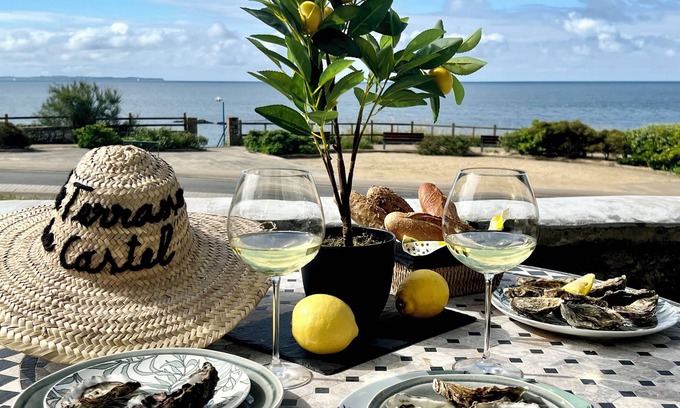 Le Pouldu Apartment | LA TERRASSE DE CASTEL, sea view, GR34, beach, private garden and reserved parking space