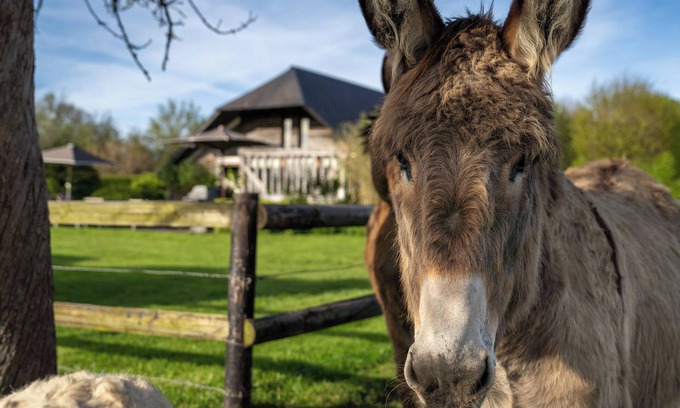 Bonnebosq House | La Vie de Cocagne, Gite de charme near Deauville, hot tub , 2 to 4 adults