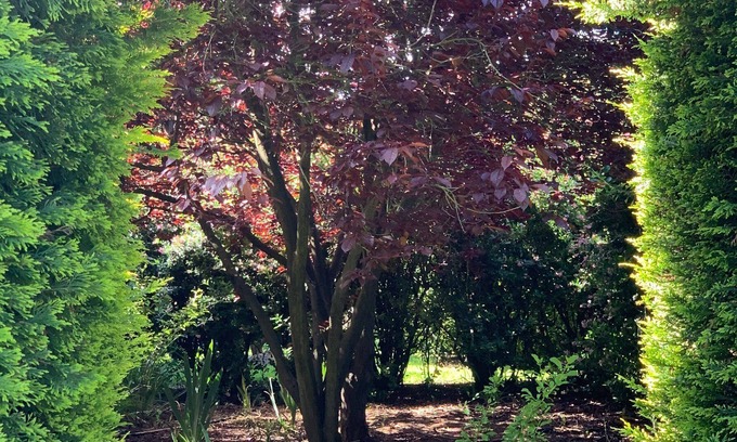 Yambuk Apartment | Lahinch - The Old Hay Shed