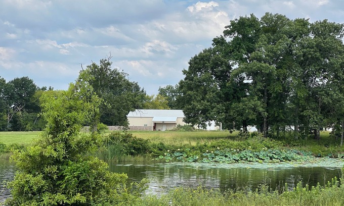 Alba House | Lake house off of Lake Fork, one of the best bass fishing lakes in the country!