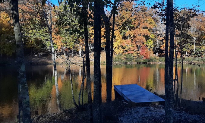 Crossville Cottage | Lakefront Cottage: Pets welcome, low fees, special monthly discount