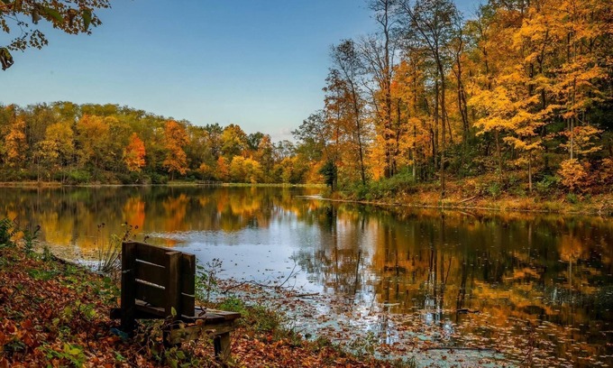 Williamstown House | Lakefront + Hiking Trail + Huge Family Friendly House + near Ark Encounter