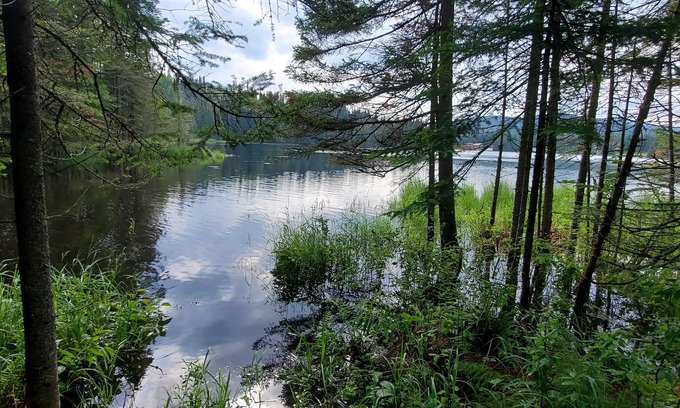 Val-des-Lacs Cottage | Lakeside privacy in the middle of nature in the heart of Laurentides