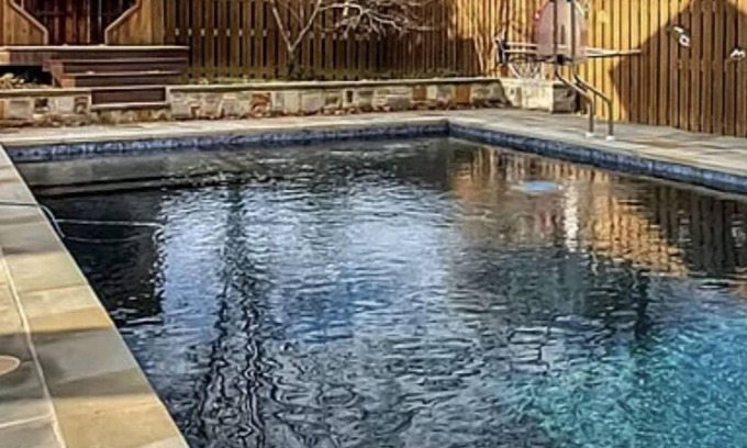 Dandridge Apartment | Lakeview, historic Dandridge "Bear Hug"