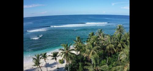 Katiet House | Lances right Surfhouse