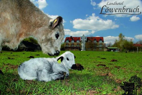 Lowenbruch Hotel | Landhotel Löwenbruch