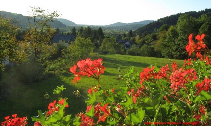 Bergach Apartment | Large holiday rental in a restored traditional Black Forest farmhouse of 1839