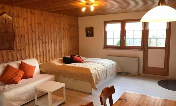 Tavanasa Apartment | Large studio in Obersaxen Valata