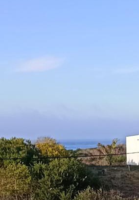 Rocha House | Las Fresias