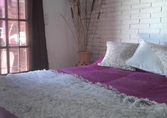 La Consulta Apartment | Las Hortensias-monoambiente