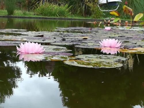 Mar Azul House | Las Rosas