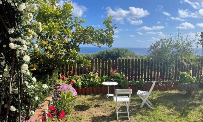 Marina Di Camerota Apartment | Lavender Apartment