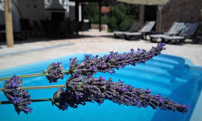 Stari Grad Villa | LAVENDER HILL HVAR VILLA ****with pool,jacuzzi,sauna.