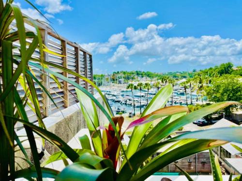 Pointe-a-Pitre Apartment | Le "61" MARINA ROOFTOP 2CH 2SDB TERRASSE MARINA