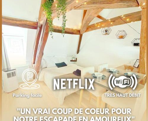 Auxerre Apartment | Le Chêne d'Auxerre