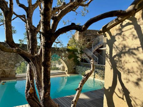 Grillon Bed & Breakfast | Le Clos du Vialle