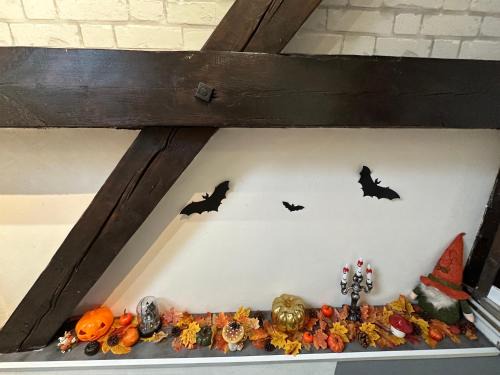 Marckolsheim Apartment | Le cocon de Marckolsheim proche Europapark