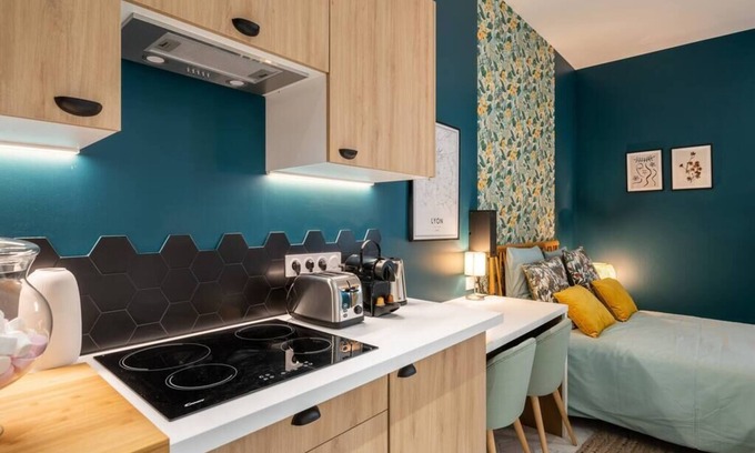 Jean Moulin - Marius Berliet Condo | Le Cocon On Dîne Résu