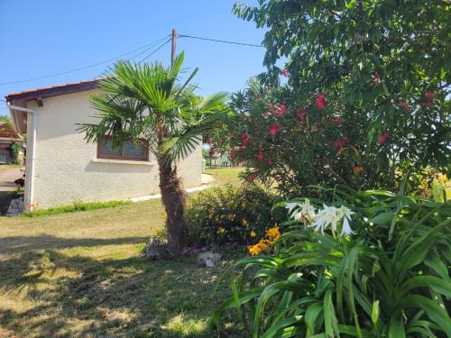 Saint-Arroumex House | Le gite de Gayssanes