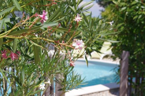 Bourg-Saint-Andeol House | Le Grand Cèdre - 2 Chambres D'hôtes