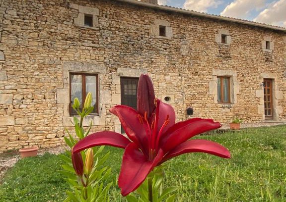 Savigne House | Le Papillon