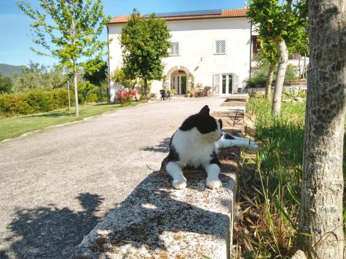 Caiazzo Bed & Breakfast | Le Piracante