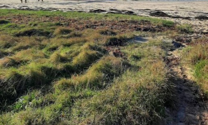 Pornic House | Le Vent D'ouest - Un Cocon de Calme au Vert